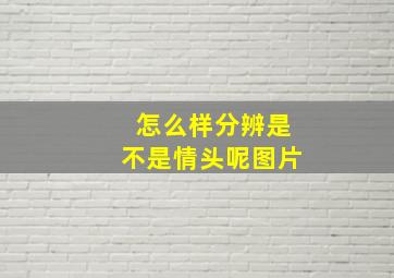 怎么样分辨是不是情头呢图片