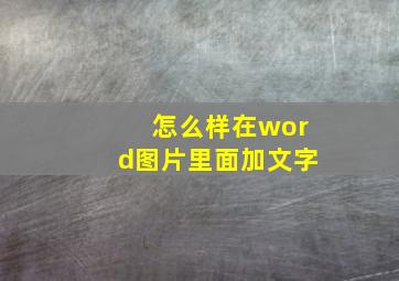 怎么样在word图片里面加文字