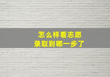 怎么样看志愿录取到哪一步了