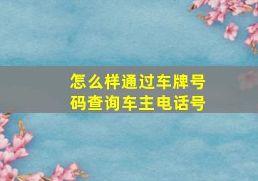 怎么样通过车牌号码查询车主电话号