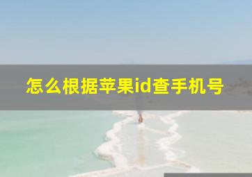 怎么根据苹果id查手机号