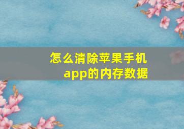 怎么清除苹果手机app的内存数据