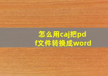 怎么用caj把pdf文件转换成word