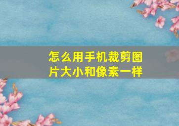 怎么用手机裁剪图片大小和像素一样