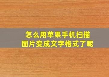 怎么用苹果手机扫描图片变成文字格式了呢