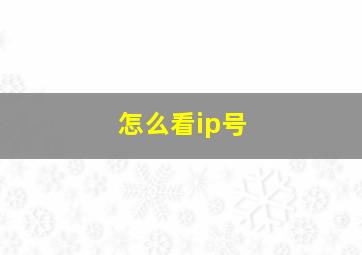 怎么看ip号