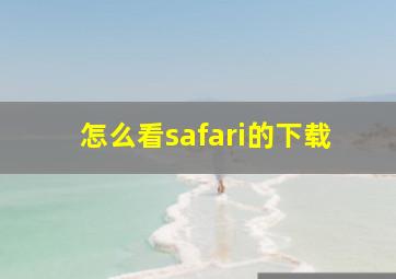 怎么看safari的下载