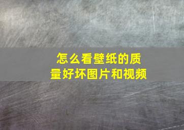 怎么看壁纸的质量好坏图片和视频