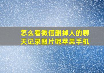 怎么看微信删掉人的聊天记录图片呢苹果手机