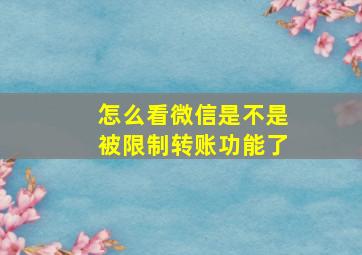 怎么看微信是不是被限制转账功能了