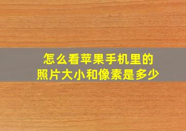 怎么看苹果手机里的照片大小和像素是多少