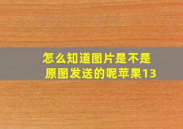 怎么知道图片是不是原图发送的呢苹果13