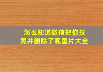 怎么知道微信把你拉黑并删除了呢图片大全