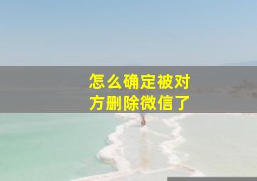 怎么确定被对方删除微信了