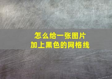 怎么给一张图片加上黑色的网格线