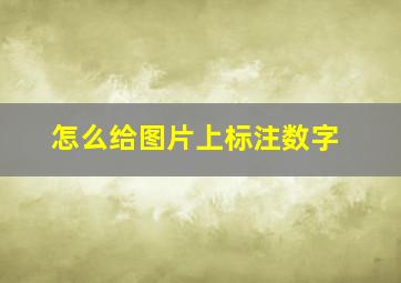 怎么给图片上标注数字