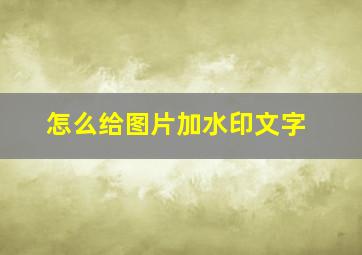 怎么给图片加水印文字