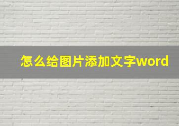 怎么给图片添加文字word