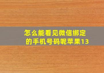 怎么能看见微信绑定的手机号码呢苹果13