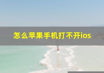 怎么苹果手机打不开ios