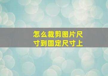 怎么裁剪图片尺寸到固定尺寸上