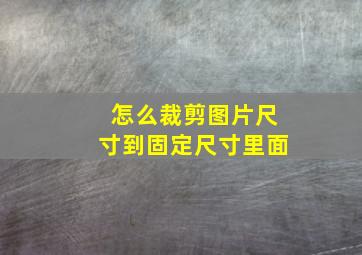 怎么裁剪图片尺寸到固定尺寸里面