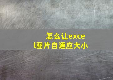 怎么让excel图片自适应大小