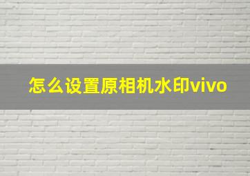 怎么设置原相机水印vivo