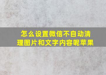 怎么设置微信不自动清理图片和文字内容呢苹果