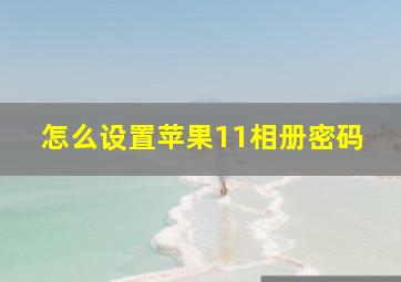 怎么设置苹果11相册密码