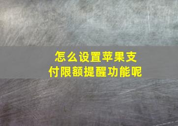 怎么设置苹果支付限额提醒功能呢