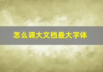 怎么调大文档最大字体