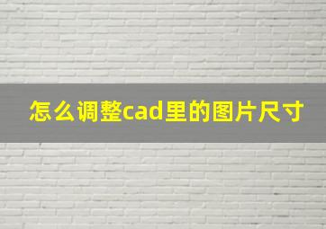 怎么调整cad里的图片尺寸