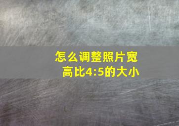 怎么调整照片宽高比4:5的大小