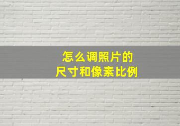 怎么调照片的尺寸和像素比例