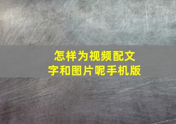 怎样为视频配文字和图片呢手机版