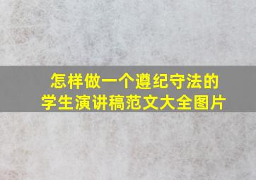 怎样做一个遵纪守法的学生演讲稿范文大全图片