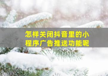 怎样关闭抖音里的小程序广告推送功能呢