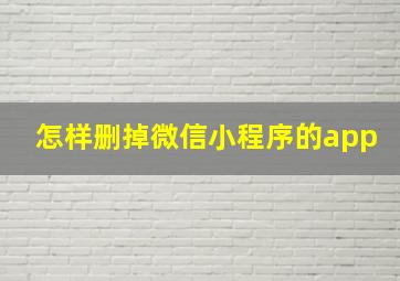 怎样删掉微信小程序的app