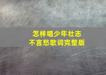 怎样唱少年壮志不言愁歌词完整版