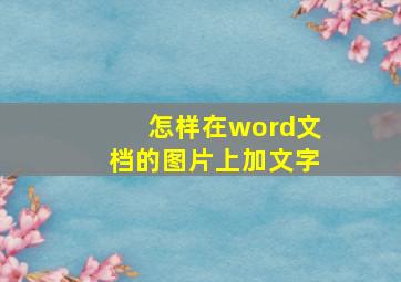 怎样在word文档的图片上加文字