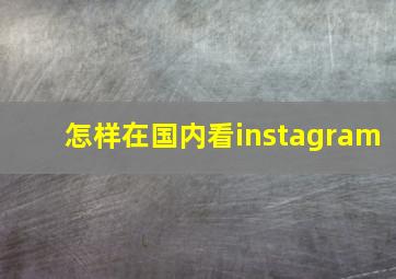 怎样在国内看instagram