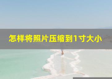 怎样将照片压缩到1寸大小