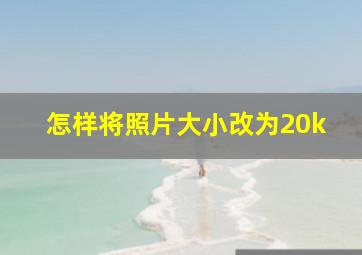 怎样将照片大小改为20k