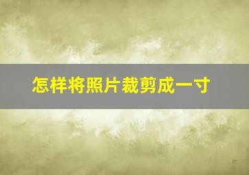 怎样将照片裁剪成一寸