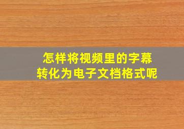 怎样将视频里的字幕转化为电子文档格式呢