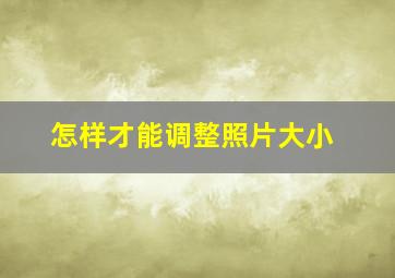 怎样才能调整照片大小