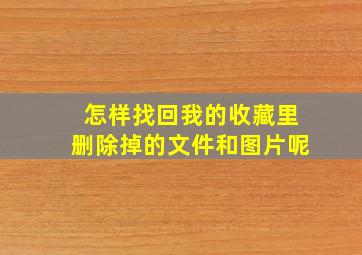 怎样找回我的收藏里删除掉的文件和图片呢