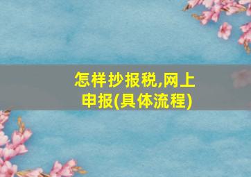 怎样抄报税,网上申报(具体流程)