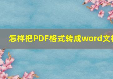 怎样把PDF格式转成word文档